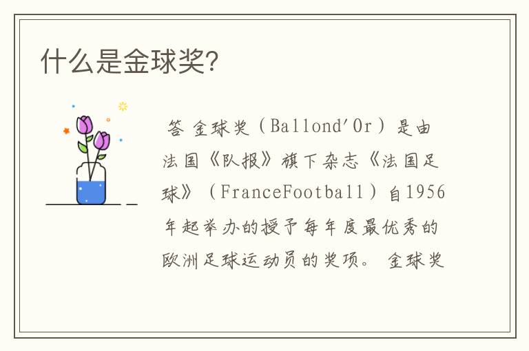什么是金球奖?