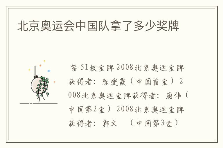 北京奥运会中国队拿了多少奖牌