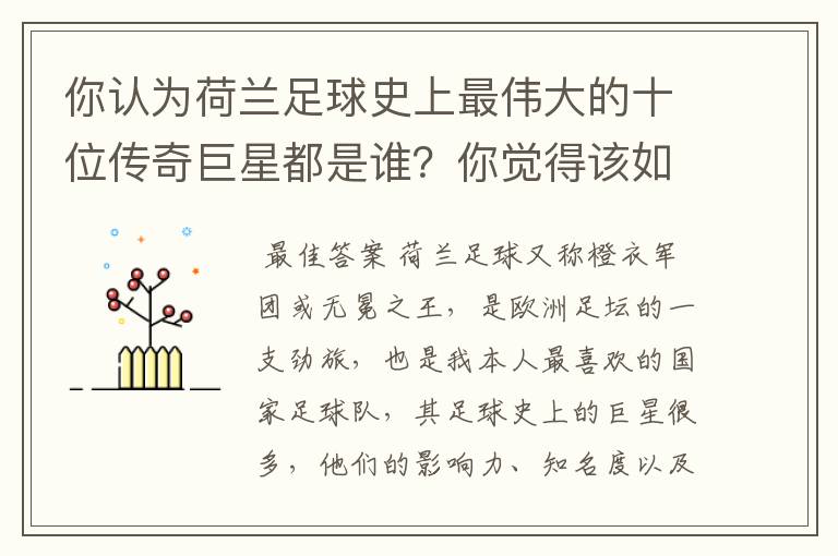 你认为荷兰足球史上最伟大的十位传奇巨星都是谁?你觉得该如何排序?