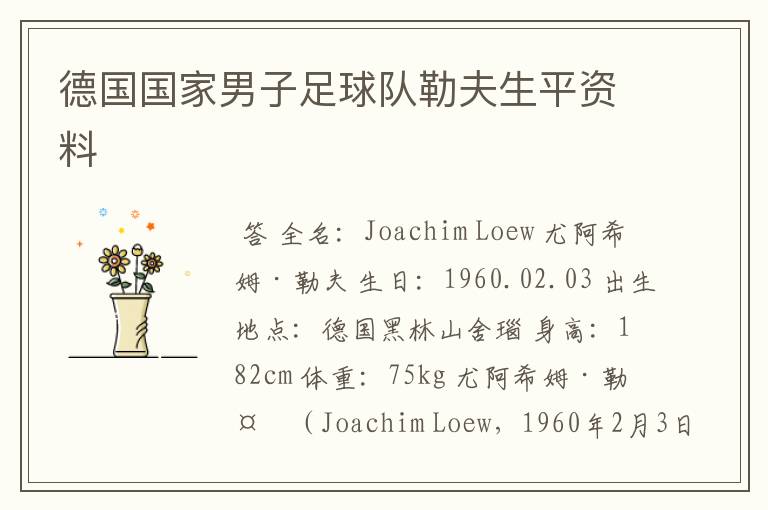 德国国家男子足球队勒夫生平资料