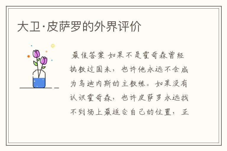大卫·皮萨罗的外界评价