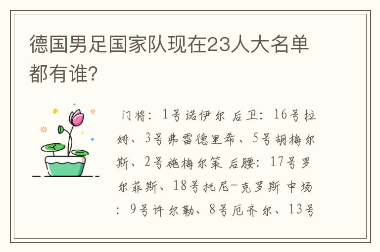 德国男足国家队现在23人大名单都有谁?