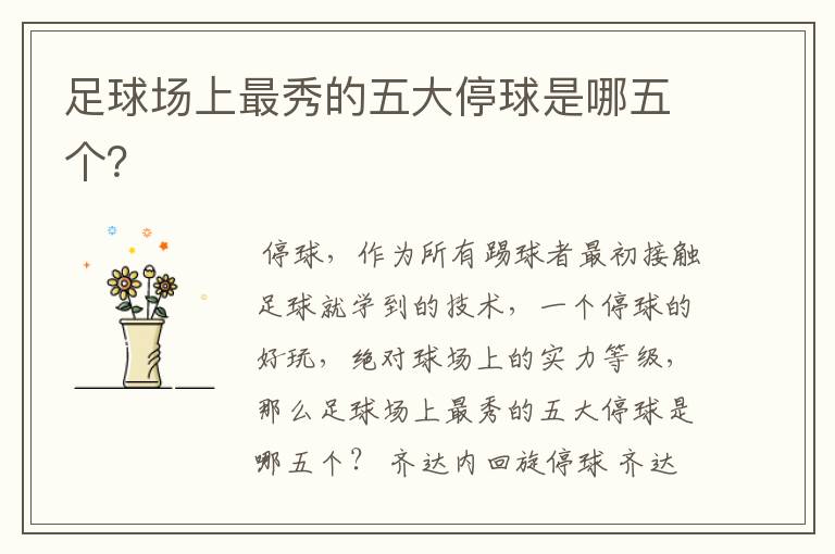 足球场上最秀的五大停球是哪五个?