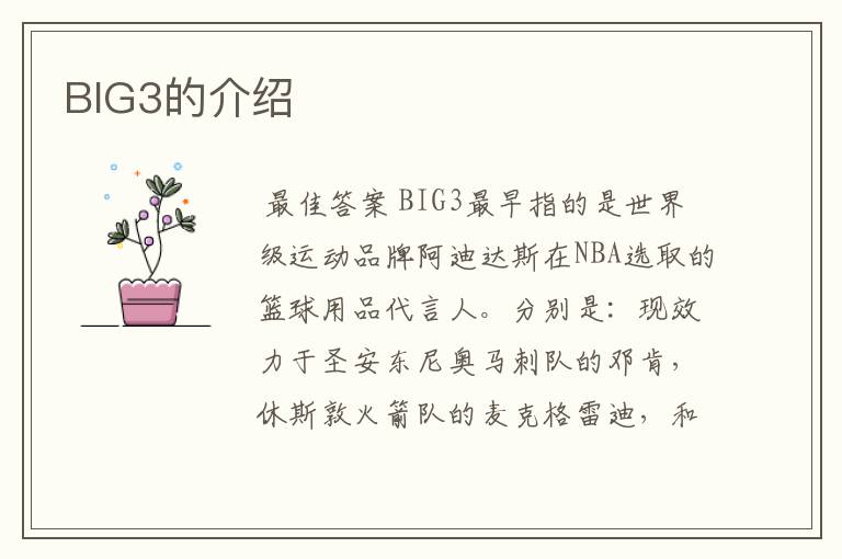 BIG3的介绍