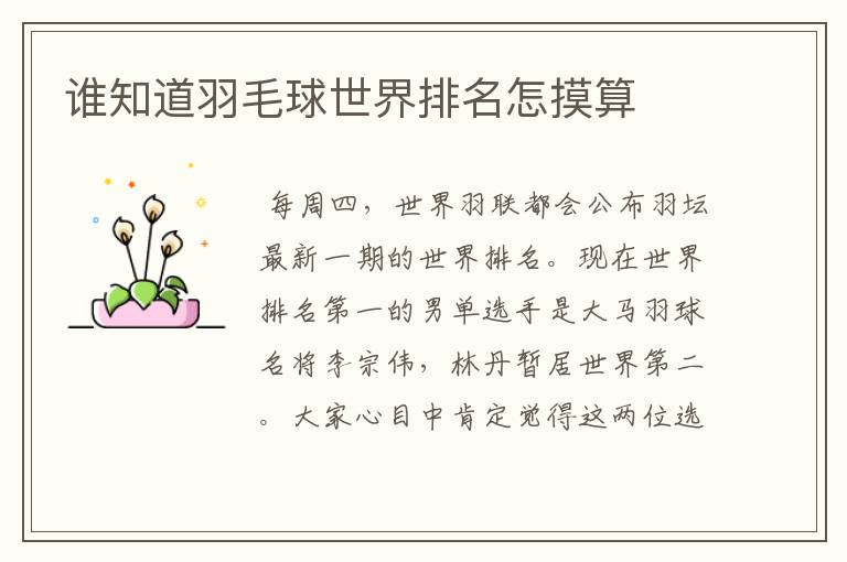 谁知道羽毛球世界排名怎摸算