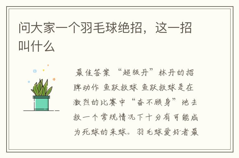 问大家一个羽毛球绝招,这一招叫什么