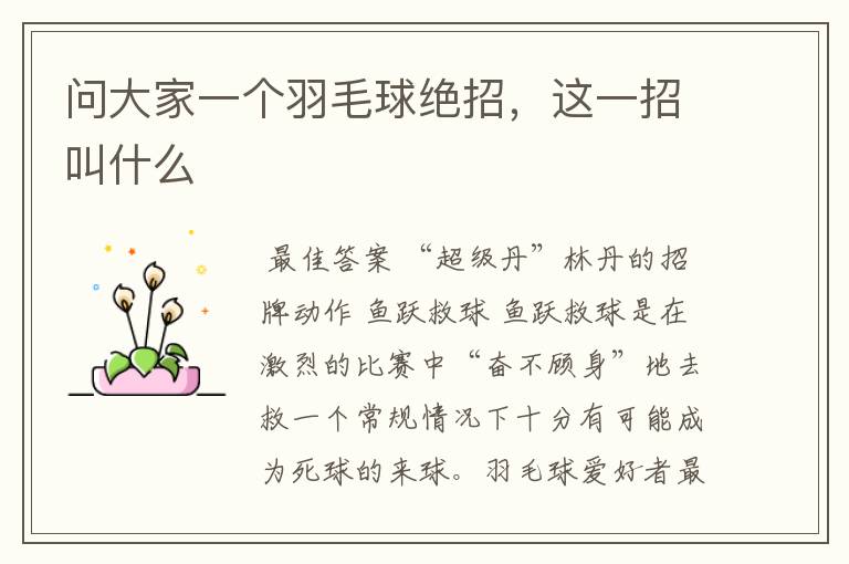 问大家一个羽毛球绝招,这一招叫什么