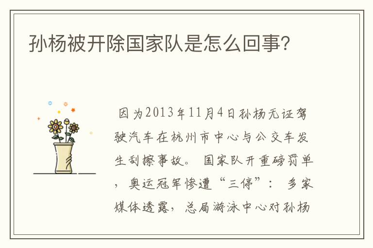 孙杨被开除国家队是怎么回事?
