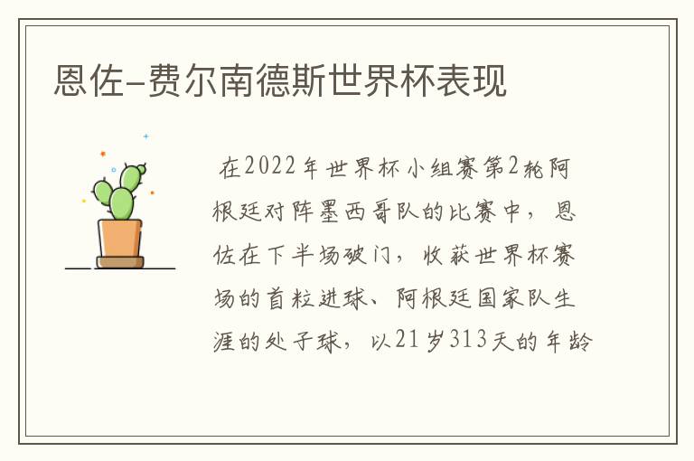 恩佐-费尔南德斯世界杯表现