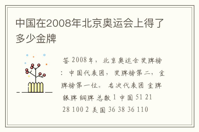 中国在2008年北京奥运会上得了多少金牌