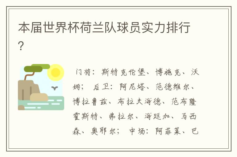 本届世界杯荷兰队球员实力排行?