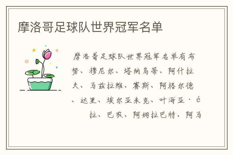 摩洛哥足球队世界冠军名单