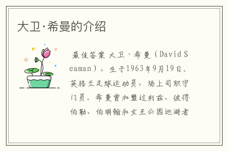 大卫·希曼的介绍