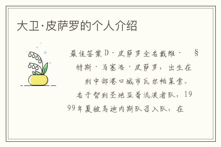 大卫·皮萨罗的个人介绍