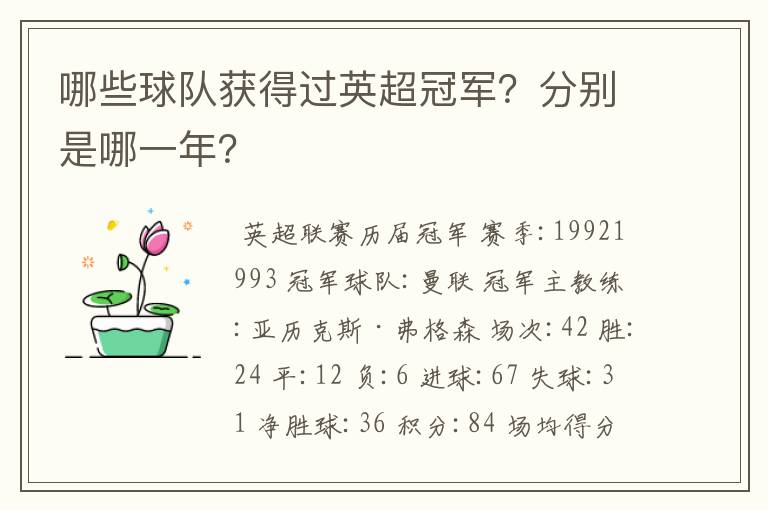 哪些球队获得过英超冠军?分别是哪一年?