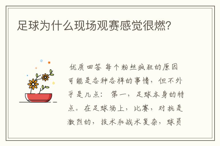 足球为什么现场观赛感觉很燃?
