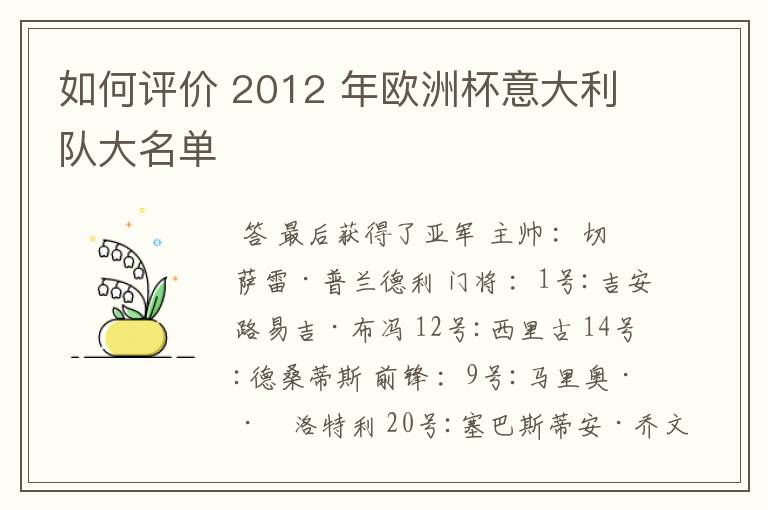 如何评价 2012 年欧洲杯意大利队大名单