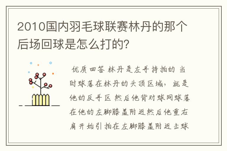 2010国内羽毛球联赛林丹的那个后场回球是怎么打的?