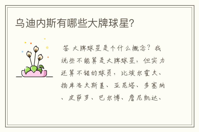 乌迪内斯有哪些大牌球星?