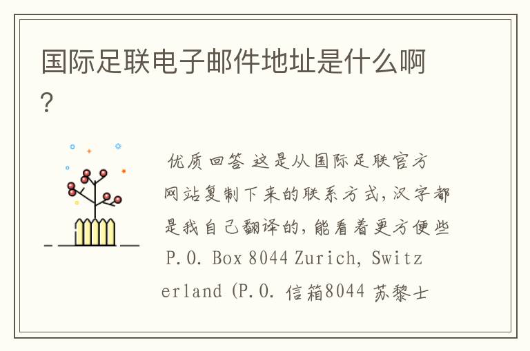 国际足联电子邮件地址是什么啊?