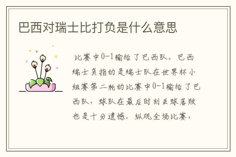 巴西对瑞士比打负是什么意思