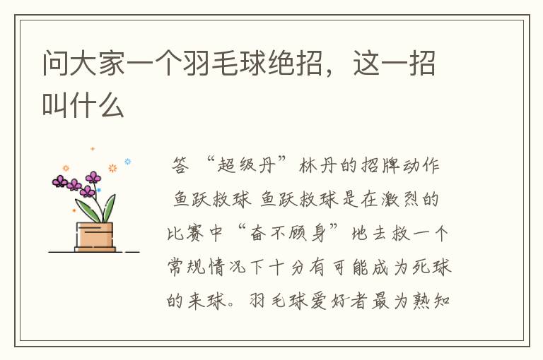 问大家一个羽毛球绝招,这一招叫什么