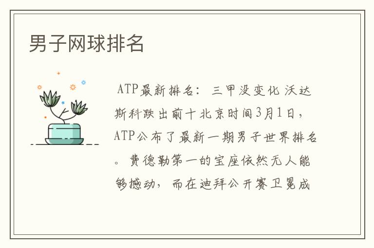 男子网球排名