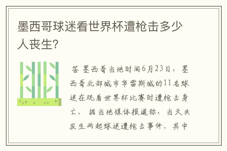 墨西哥球迷看世界杯遭枪击多少人丧生?