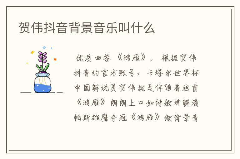 贺伟抖音背景音乐叫什么