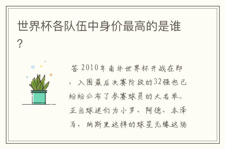 世界杯各队伍中身价最高的是谁?
