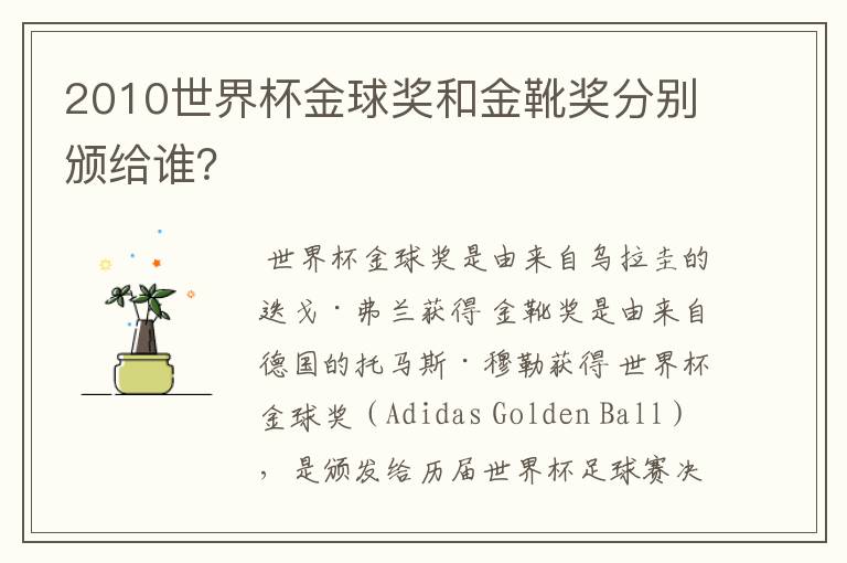 2010世界杯金球奖和金靴奖分别颁给谁?