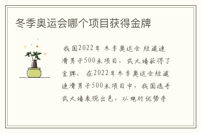 冬季奥运会哪个项目获得金牌
