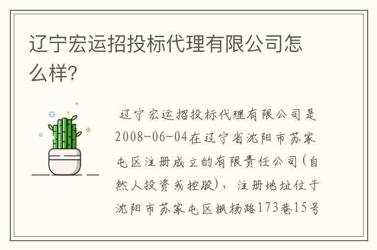 辽宁宏运招投标代理有限公司怎么样?