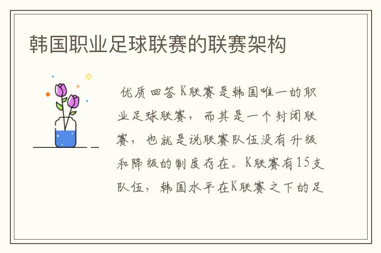 韩国职业足球联赛的联赛架构