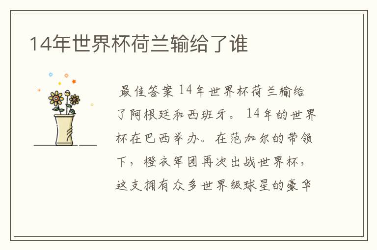 14年世界杯荷兰输给了谁