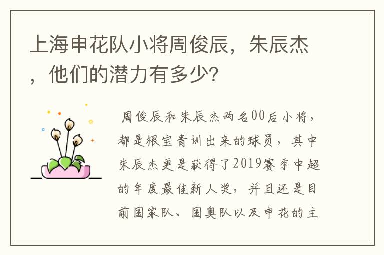 上海申花队小将周俊辰,朱辰杰,他们的潜力有多少?