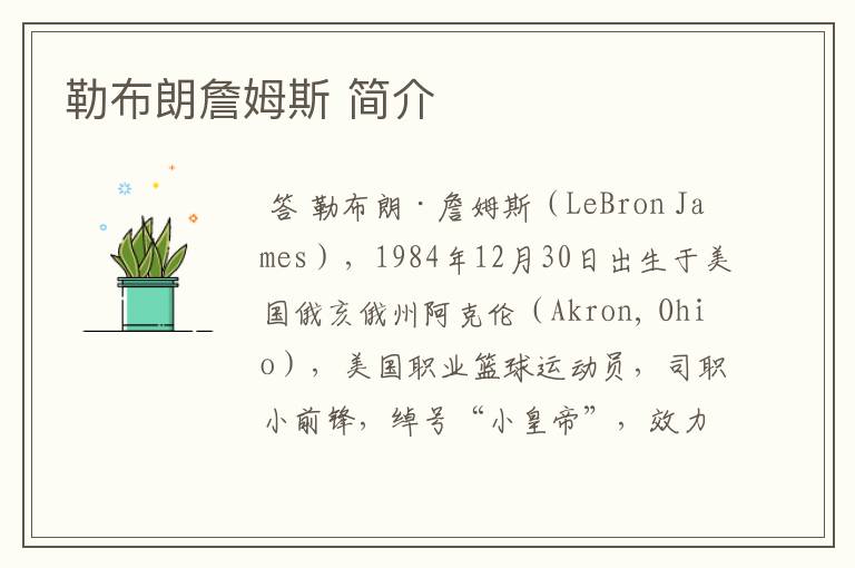 勒布朗詹姆斯 简介