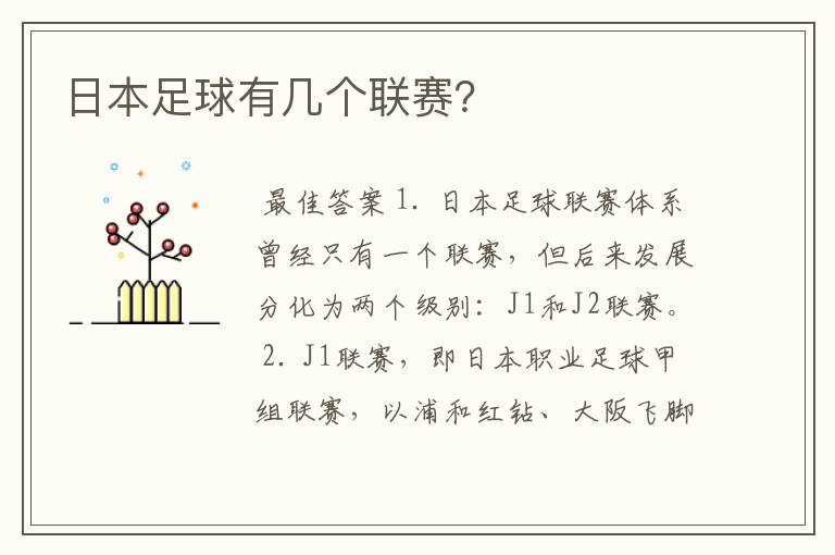 日本足球有几个联赛?