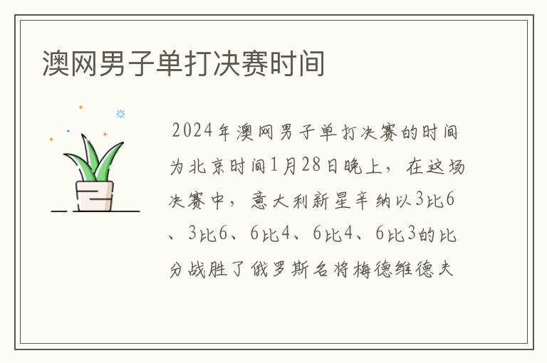 澳网男子单打决赛时间