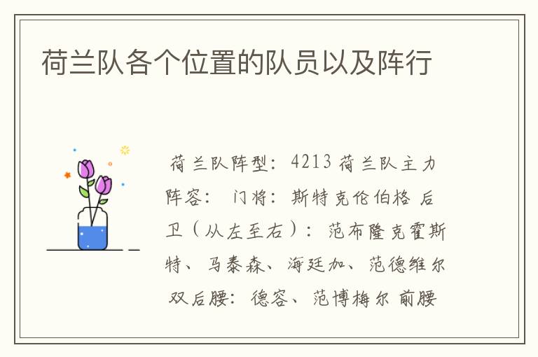 荷兰队各个位置的队员以及阵行