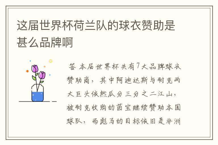 这届世界杯荷兰队的球衣赞助是甚么品牌啊