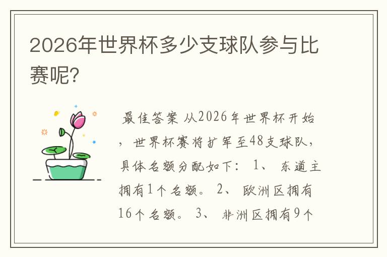 2026年世界杯多少支球队参与比赛呢?