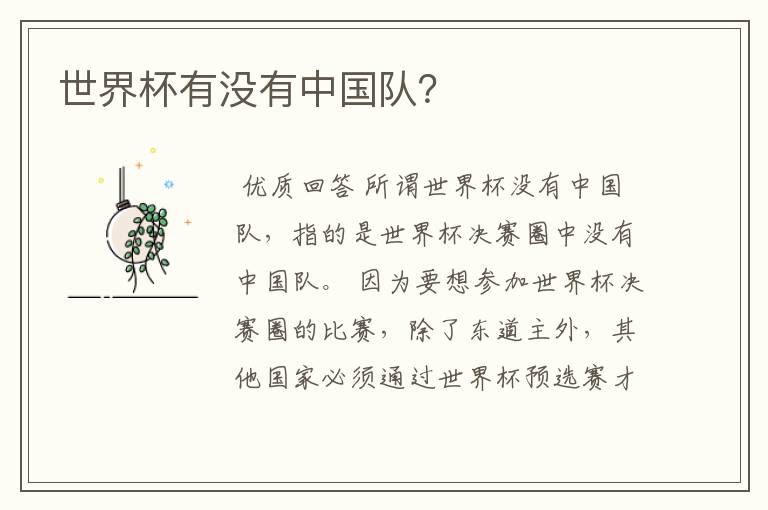 世界杯有没有中国队?