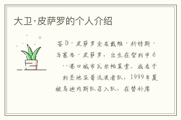 大卫·皮萨罗的个人介绍