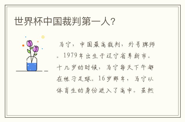 世界杯中国裁判第一人?
