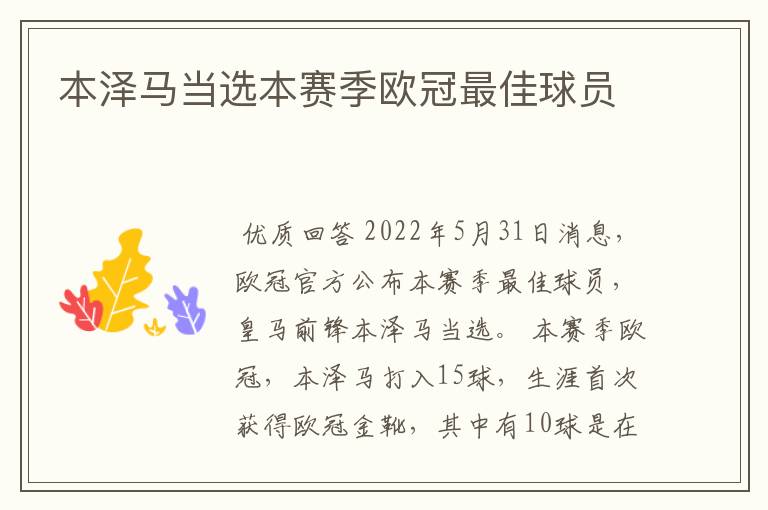 本泽马当选本赛季欧冠最佳球员