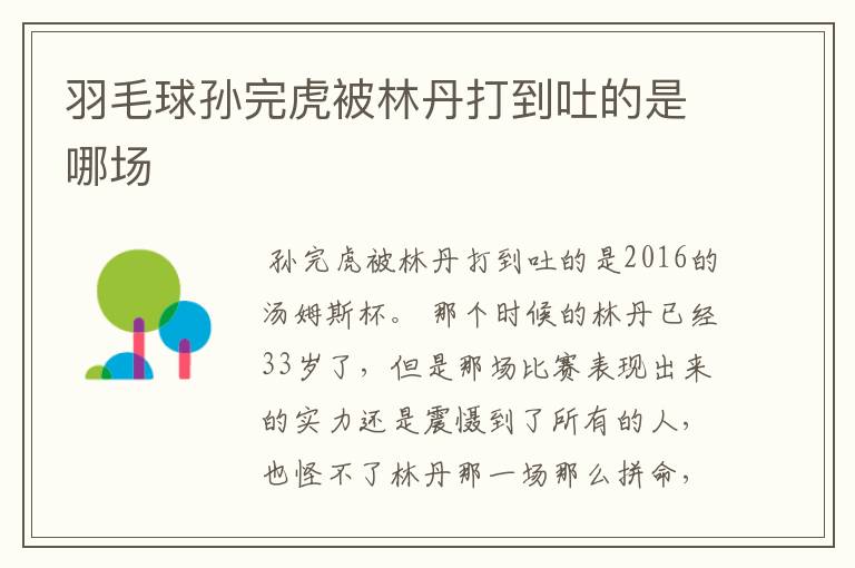 羽毛球孙完虎被林丹打到吐的是哪场