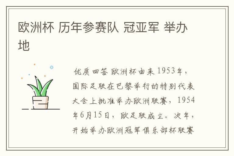 欧洲杯 历年参赛队 冠亚军 举办地