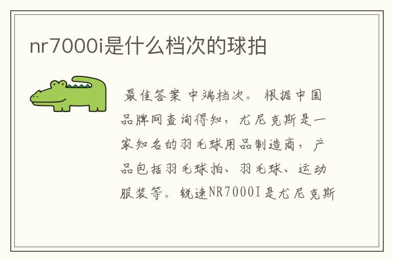 nr7000i是什么档次的球拍