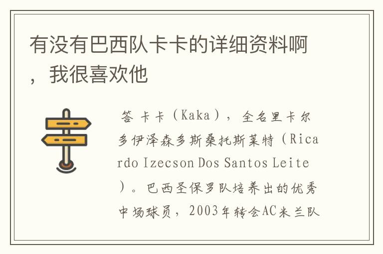 有没有巴西队卡卡的详细资料啊,我很喜欢他
